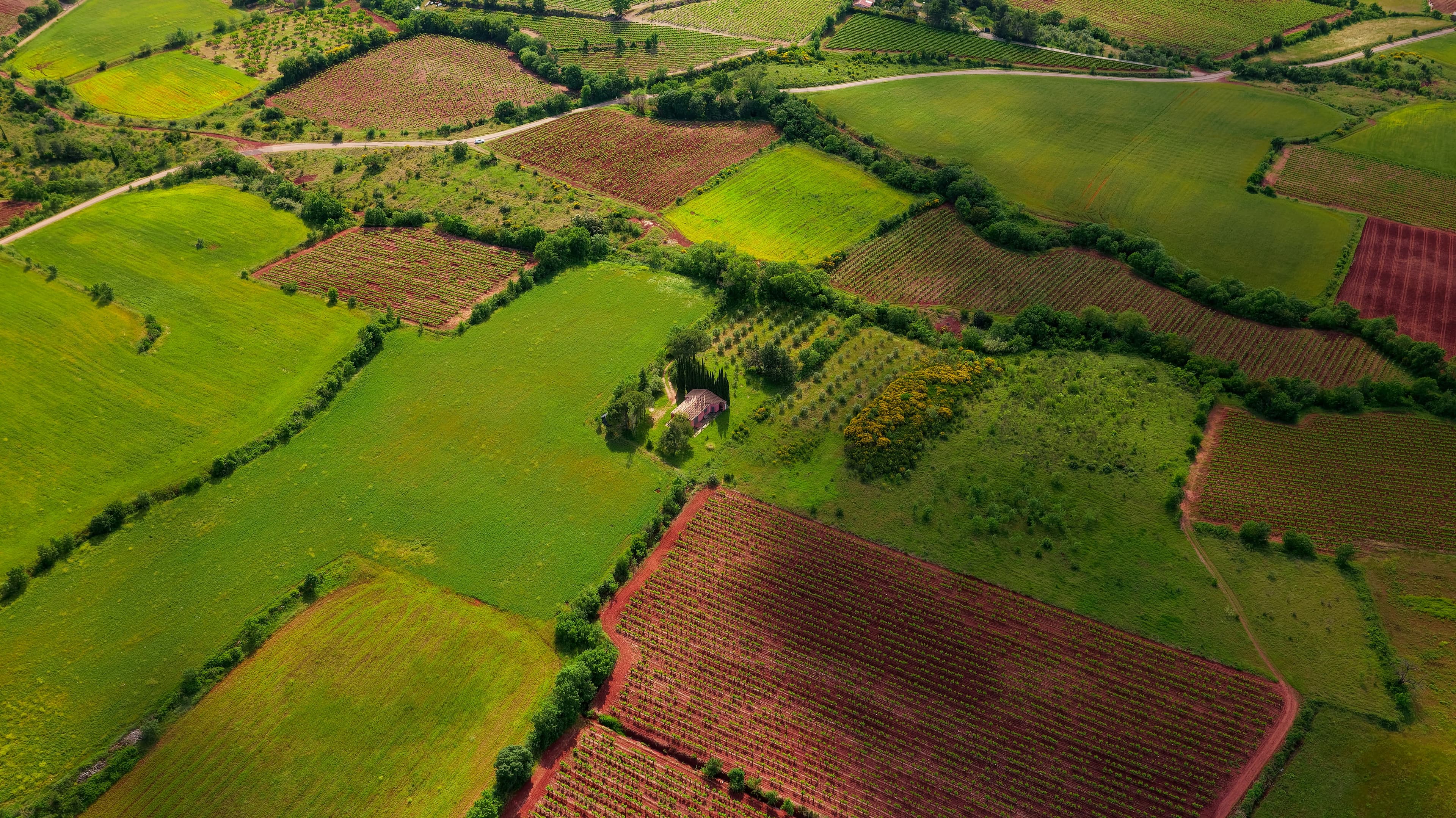 Tigoni Ridge